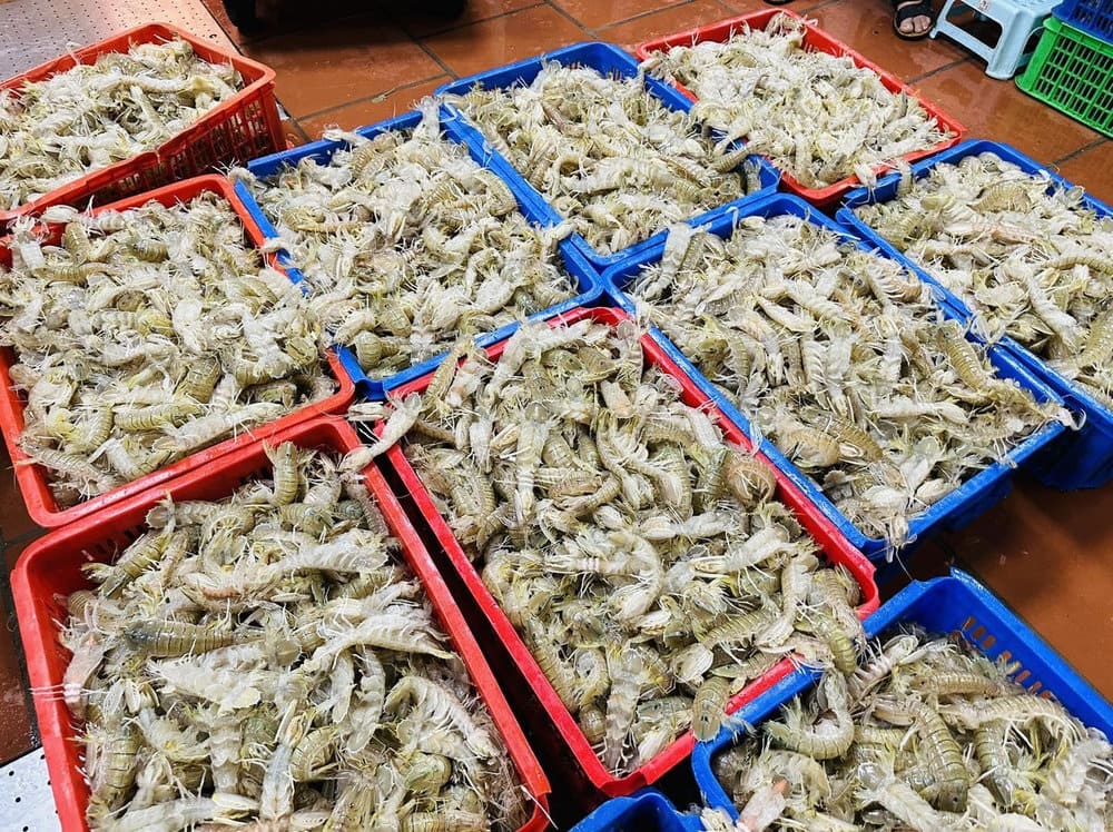 Hải sản tươi sống được phục vụ tại Poseidon (Nguồn: Internet)